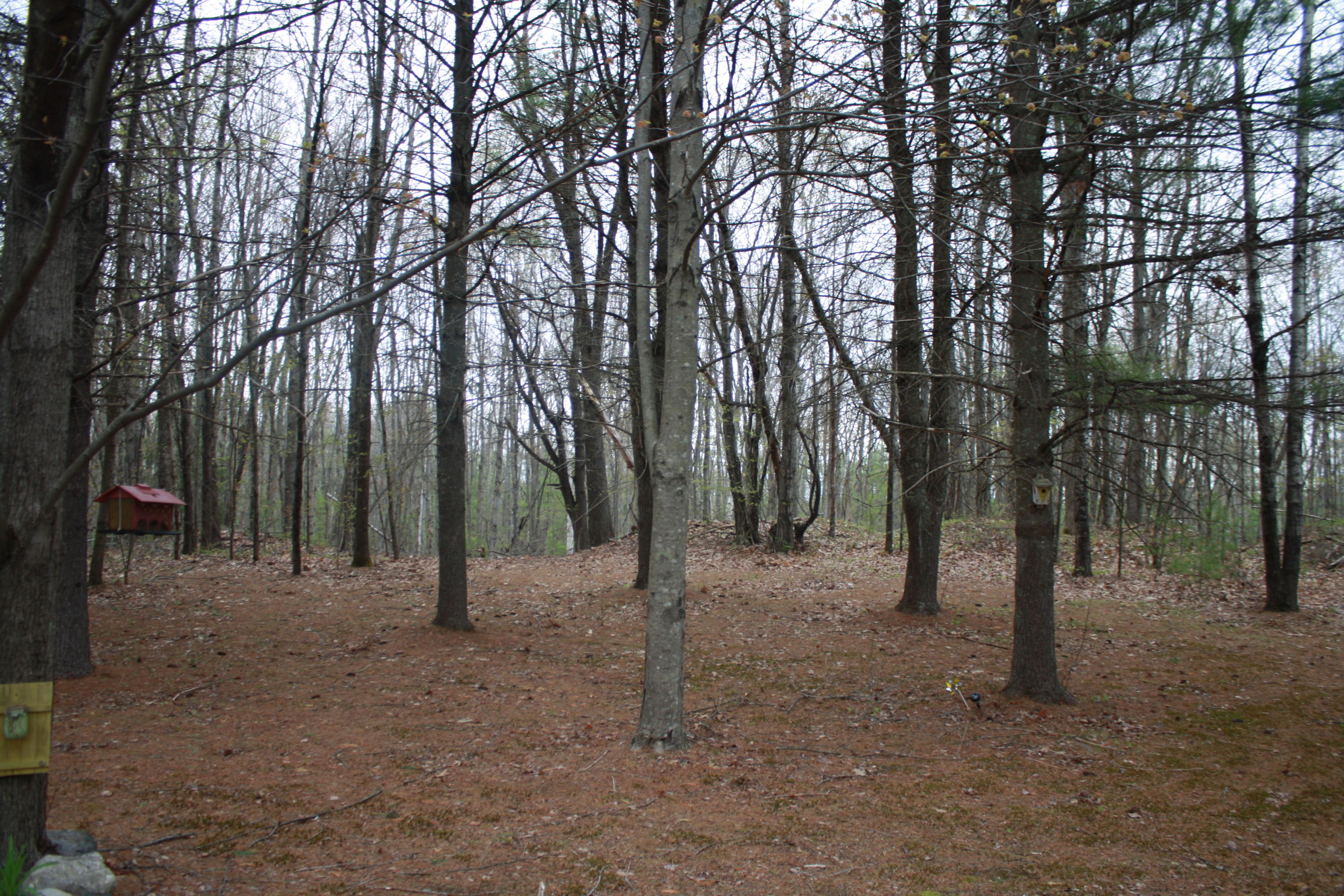 213 Townhouse Road East Waterboro, ME 04030 - Photo 96 of 127 IMG_2543