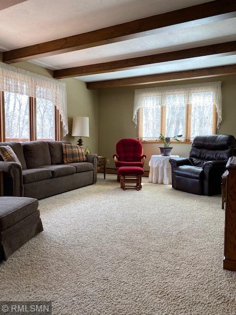 22535 Ginseng Road Long Prairie, MN 56347 - Photo 11 of 44 Gallery Image 11