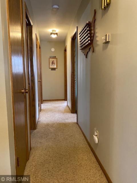 22535 Ginseng Road Long Prairie, MN 56347 - Photo 28 of 44 Gallery Image 28