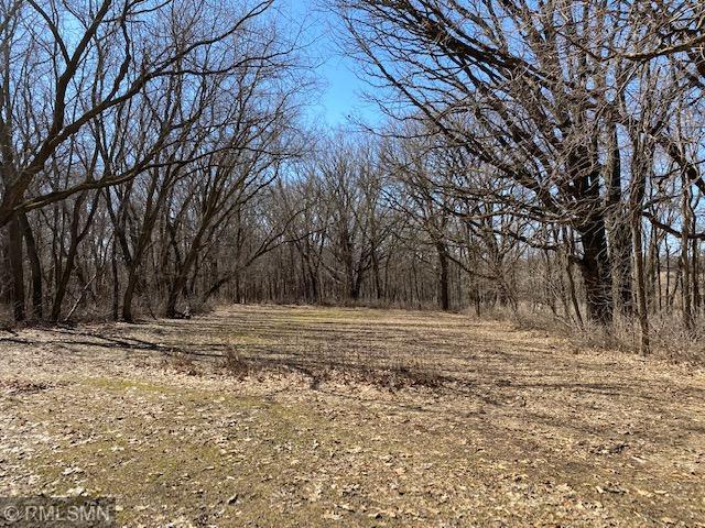 22535 Ginseng Road Long Prairie, MN 56347 - Photo 29 of 44 Gallery Image 29