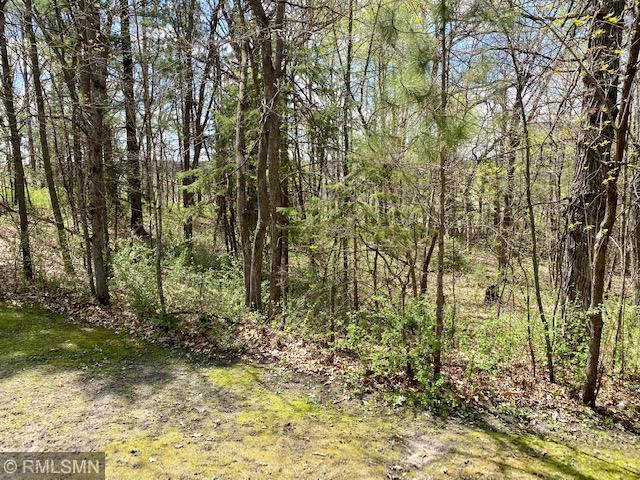22535 Ginseng Road Long Prairie, MN 56347 - Photo 33 of 44 Gallery Image 33