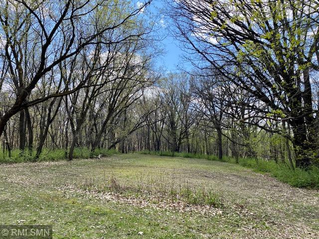 22535 Ginseng Road Long Prairie, MN 56347 - Photo 34 of 44 Gallery Image 34