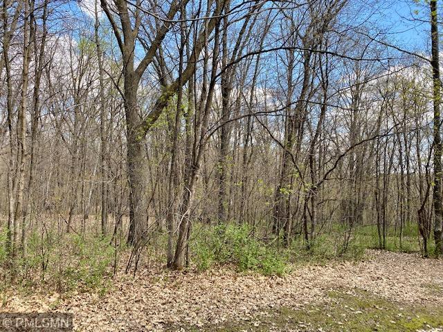 22535 Ginseng Road Long Prairie, MN 56347 - Photo 35 of 44 Gallery Image 35