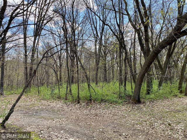22535 Ginseng Road Long Prairie, MN 56347 - Photo 36 of 44 Gallery Image 36