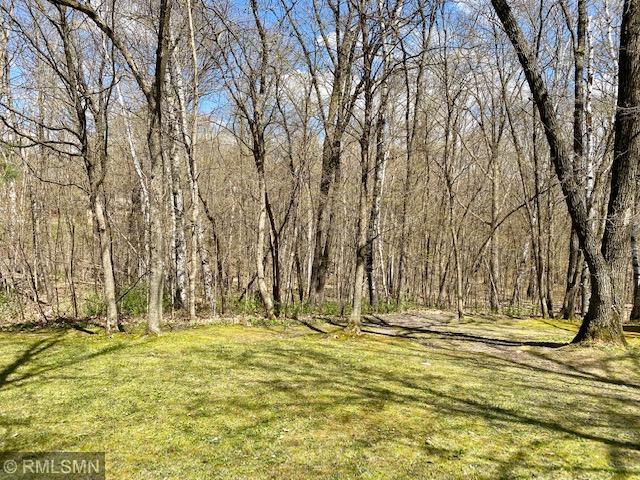 22535 Ginseng Road Long Prairie, MN 56347 - Photo 37 of 44 Gallery Image 37