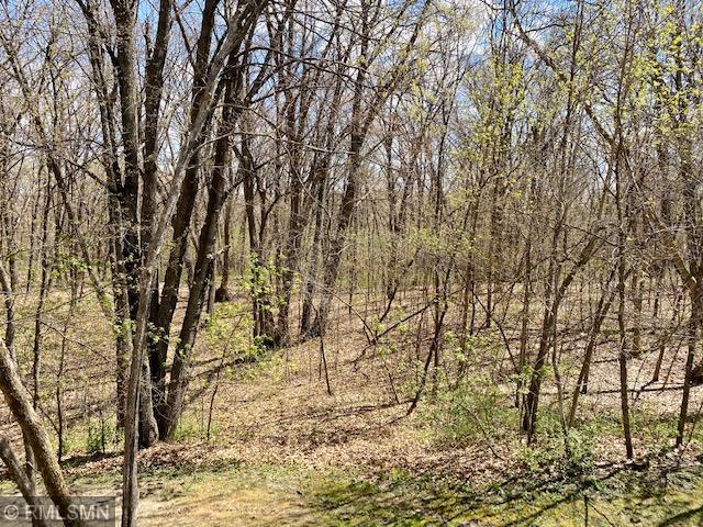 22535 Ginseng Road Long Prairie, MN 56347 - Photo 41 of 44 Gallery Image 41