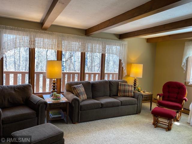 22535 Ginseng Road Long Prairie, MN 56347 - Photo 9 of 44 Gallery Image 9