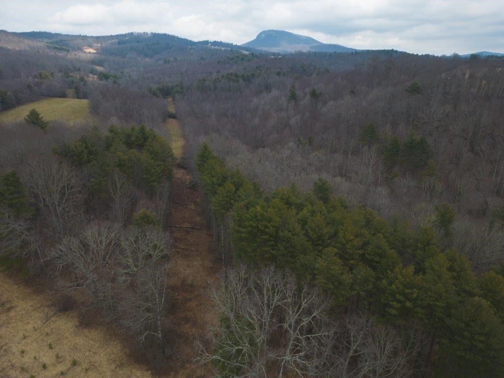 Tbd Long Mountain Road Southwest Willis, VA 24380 - Photo 21 of 66 Gallery Image 21
