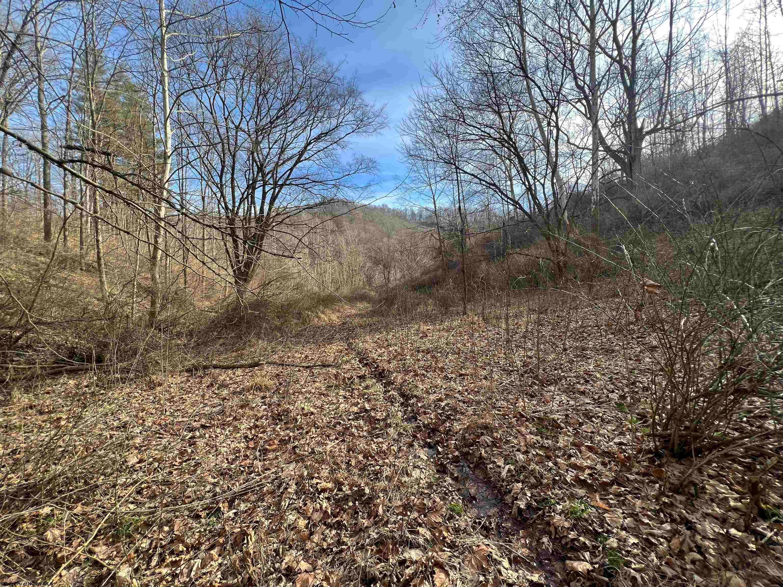 Tbd Beverlin Fork Center Point, WV 26339 - Photo 5 of 14 Gallery Image 5