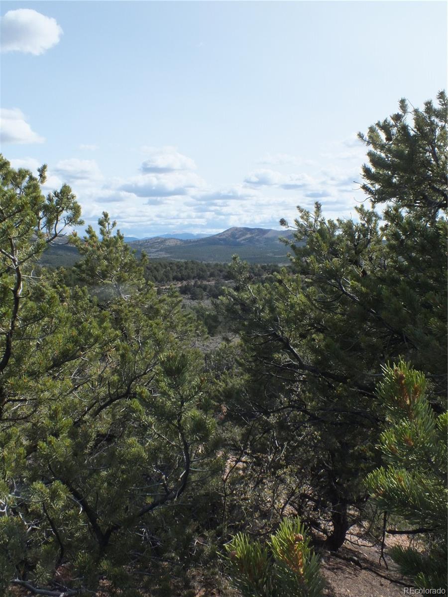 Santa Road San Luis, CO 81152 - Photo 3 of 8 Gallery Image 3