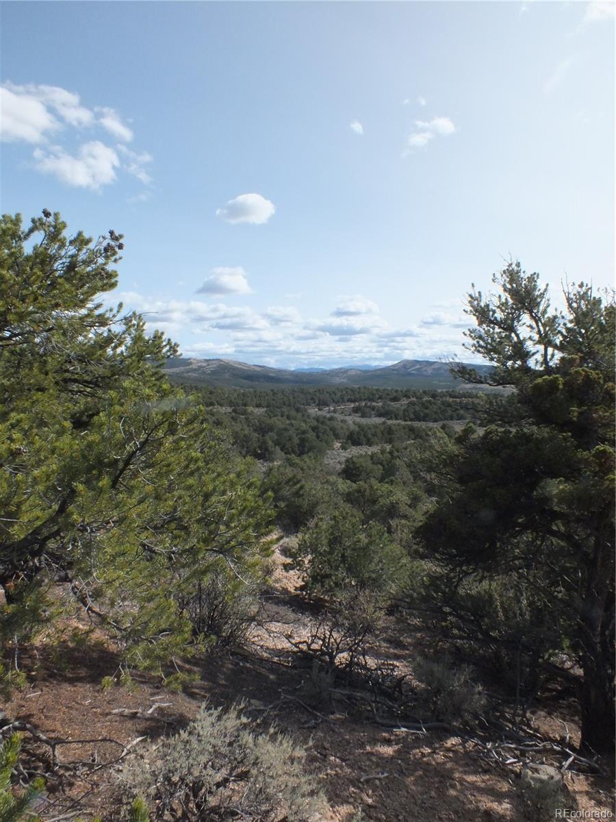 Santa Road San Luis, CO 81152 - Photo 4 of 8 Gallery Image 4