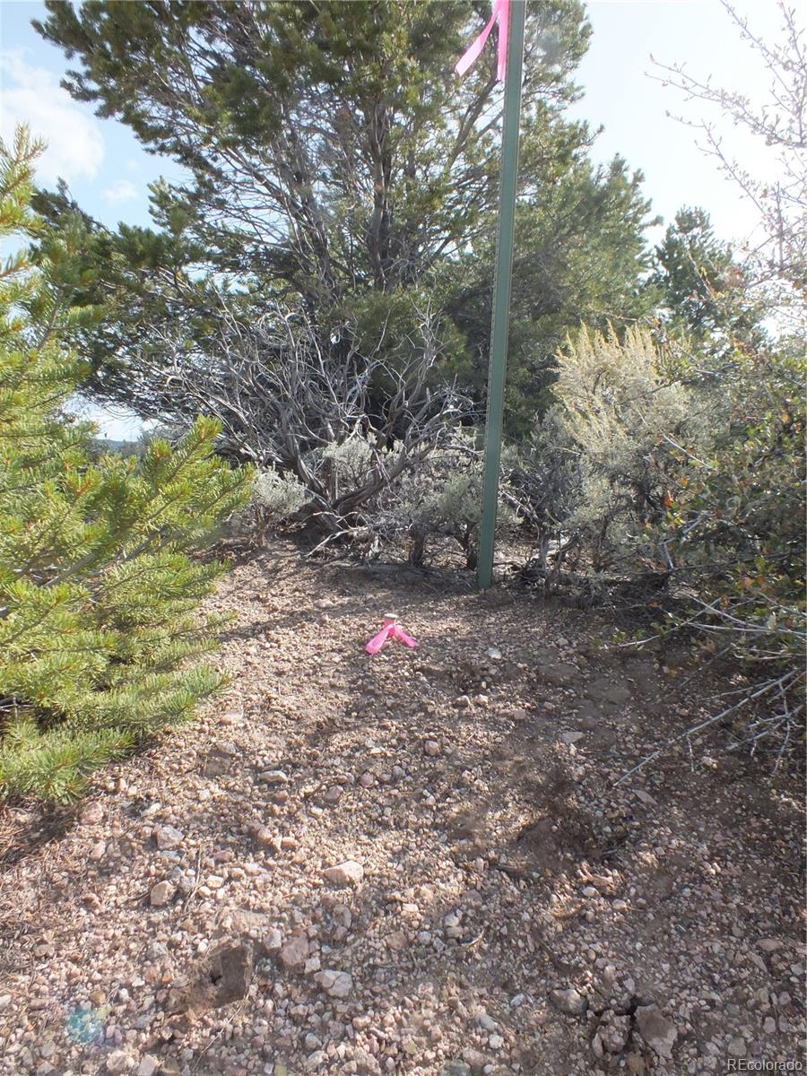 Santa Road San Luis, CO 81152 - Photo 6 of 8 Gallery Image 6
