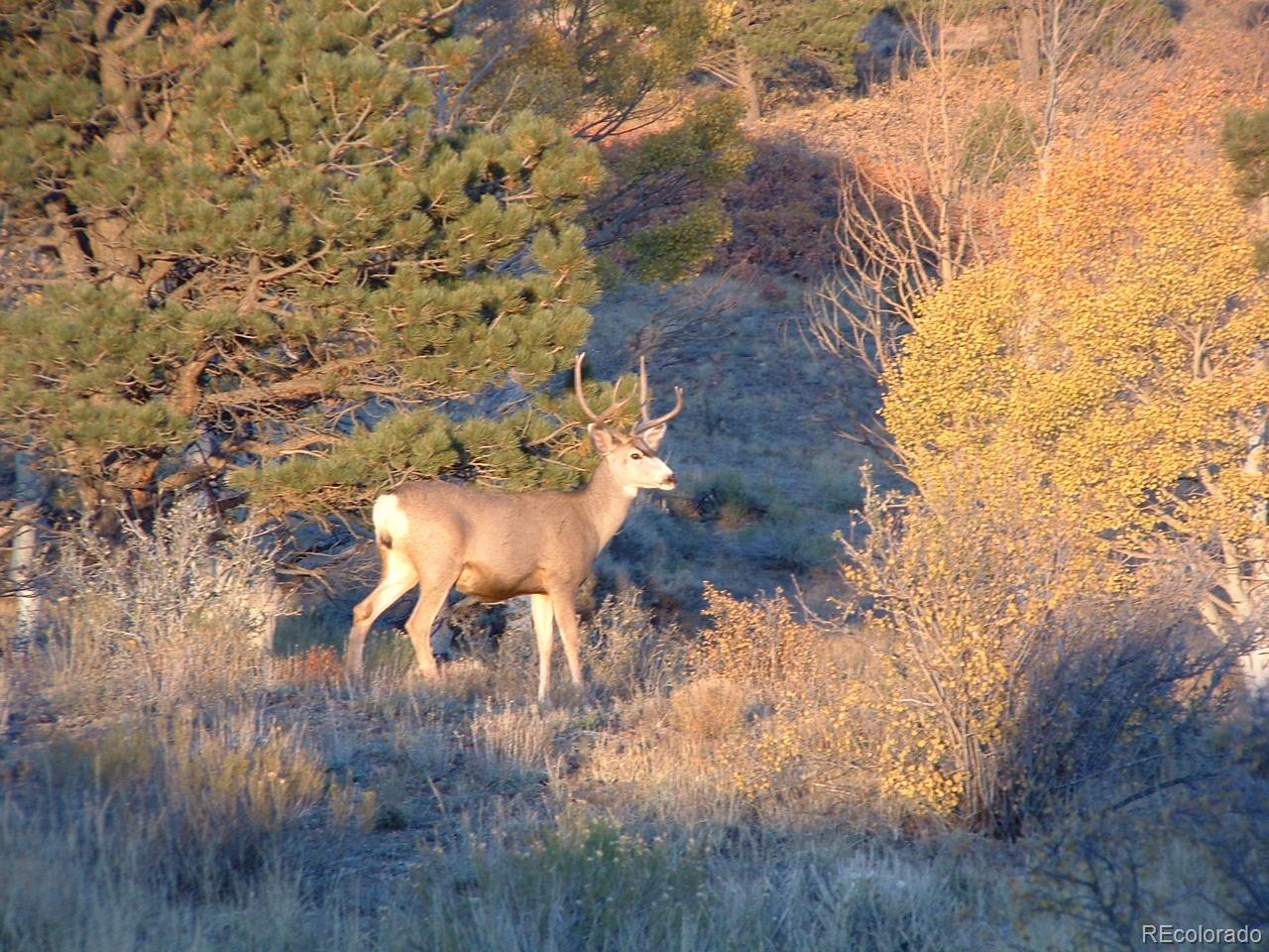 Santa Road San Luis, CO 81152 - Photo 7 of 8 Gallery Image 7