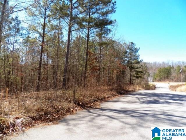 245 Covington Rdg Drive, Unit 34 Jacksonville, AL 36265 - Photo 9 of 11