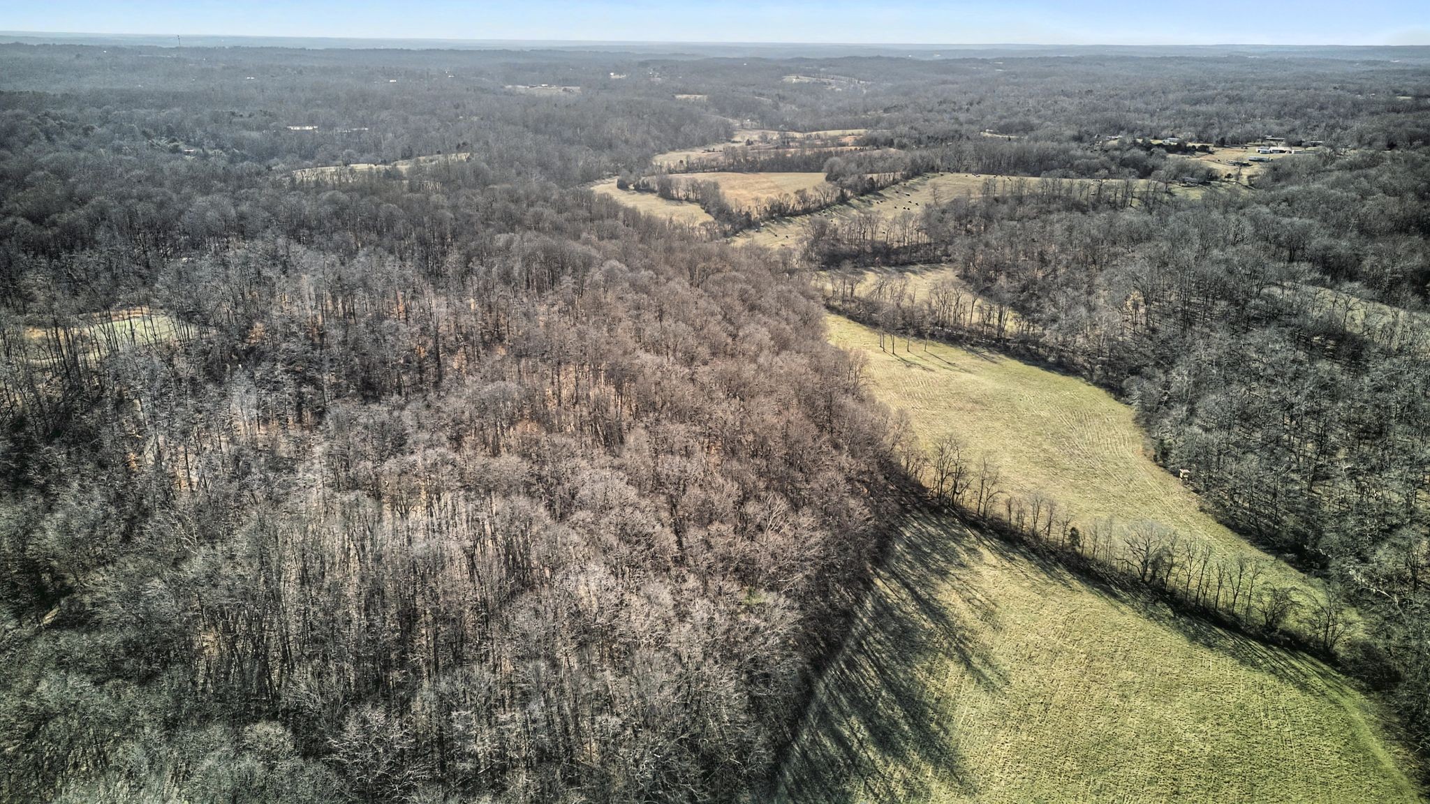 0 Poole Road Chapmansboro, TN 37035 - Photo 11 of 20 a view of a dry yard with green space
