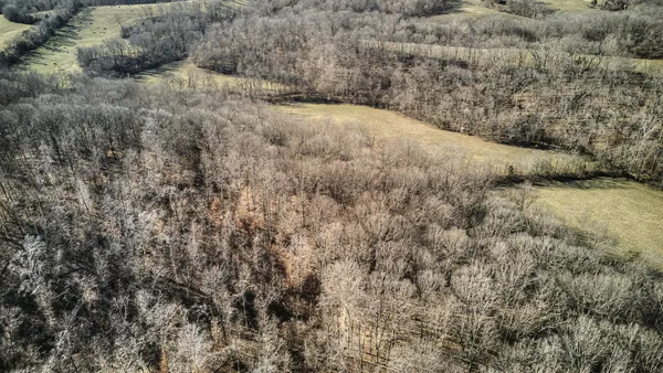a view of a dry yard