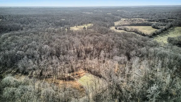 an aerial view of forest