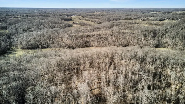 a view of a dry yard