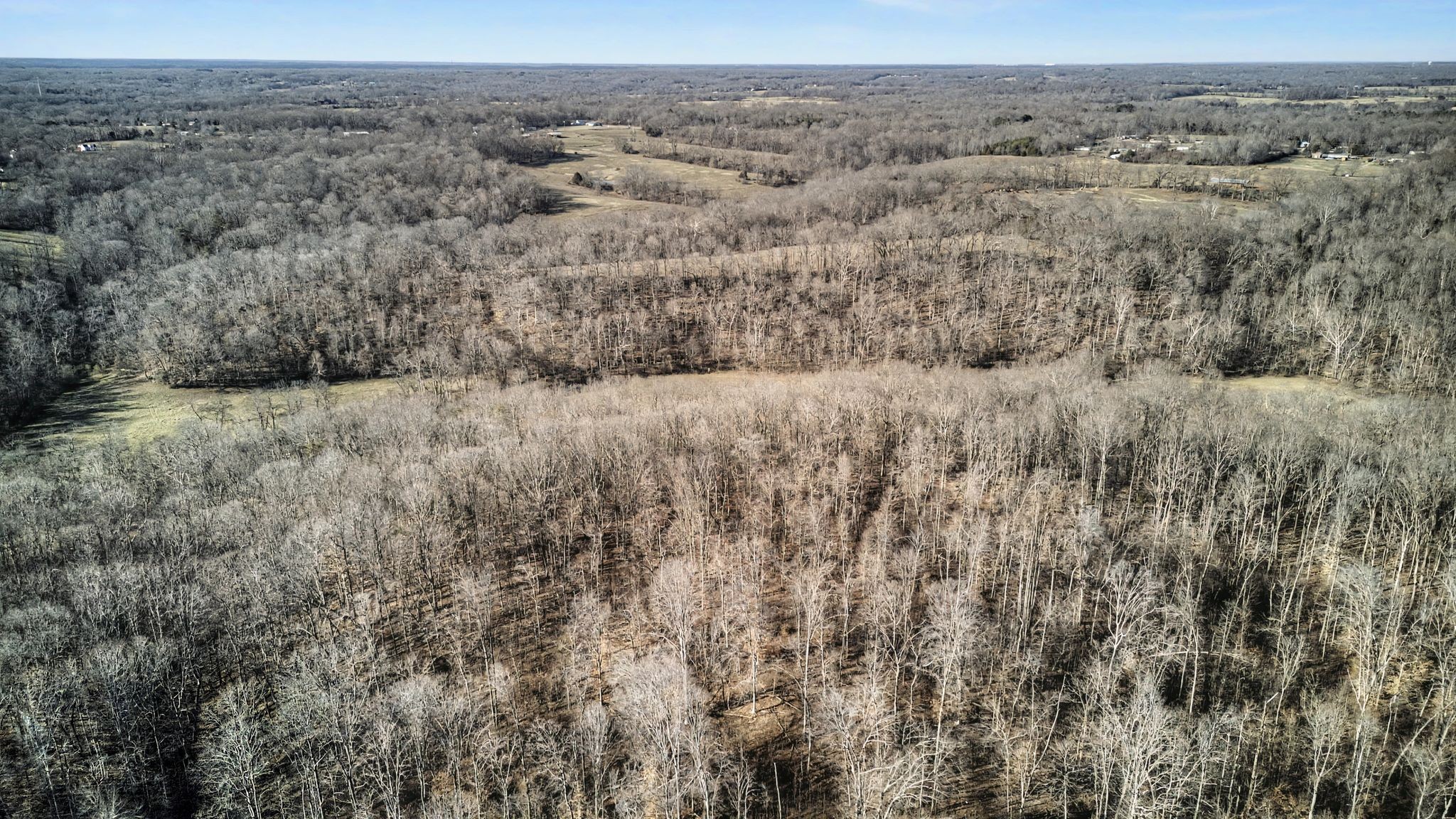 0 Poole Road Chapmansboro, TN 37035 - Photo 15 of 20 an aerial view of forest