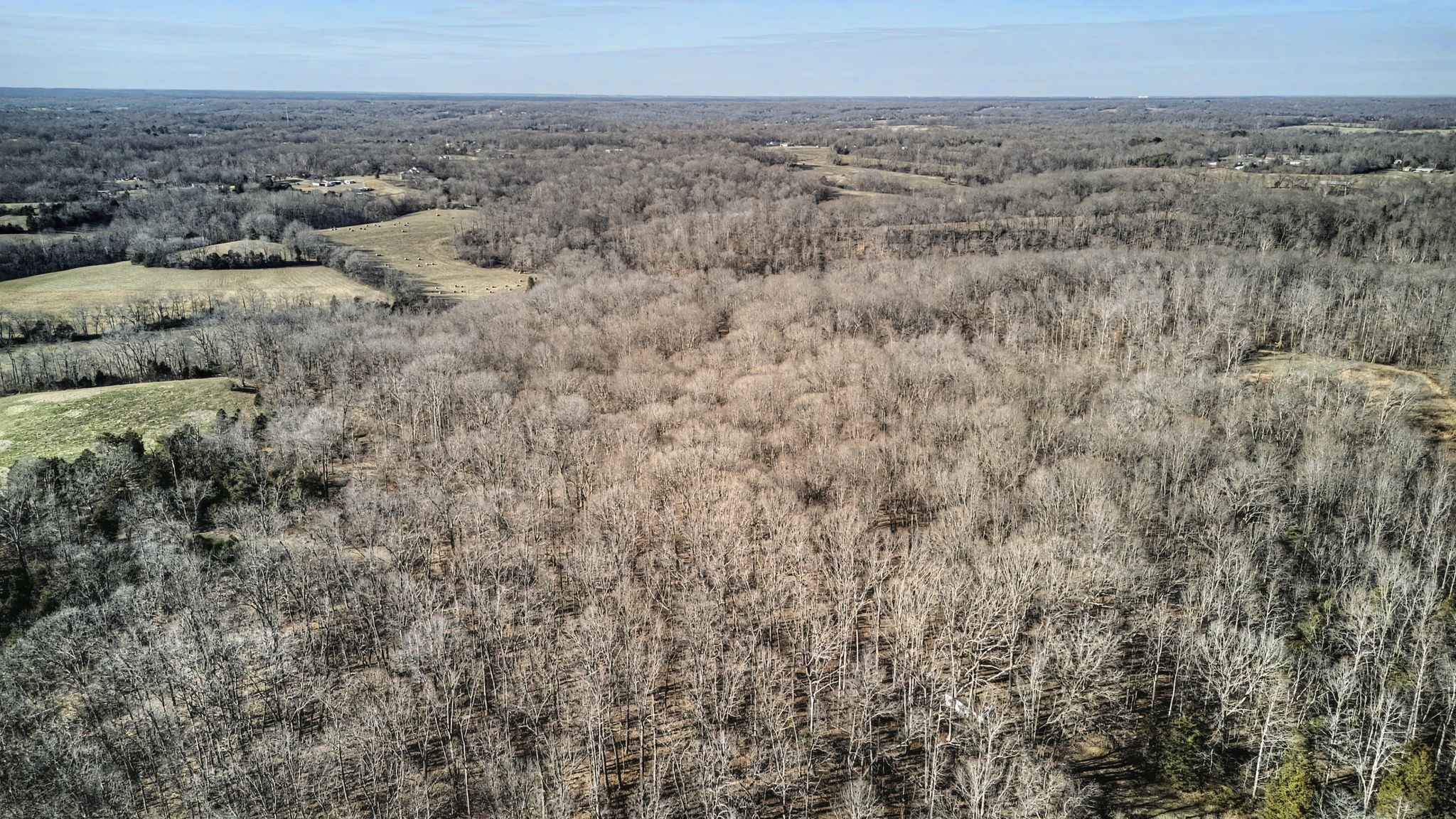 0 Poole Road Chapmansboro, TN 37035 - Photo 16 of 20 a view of a dry yard