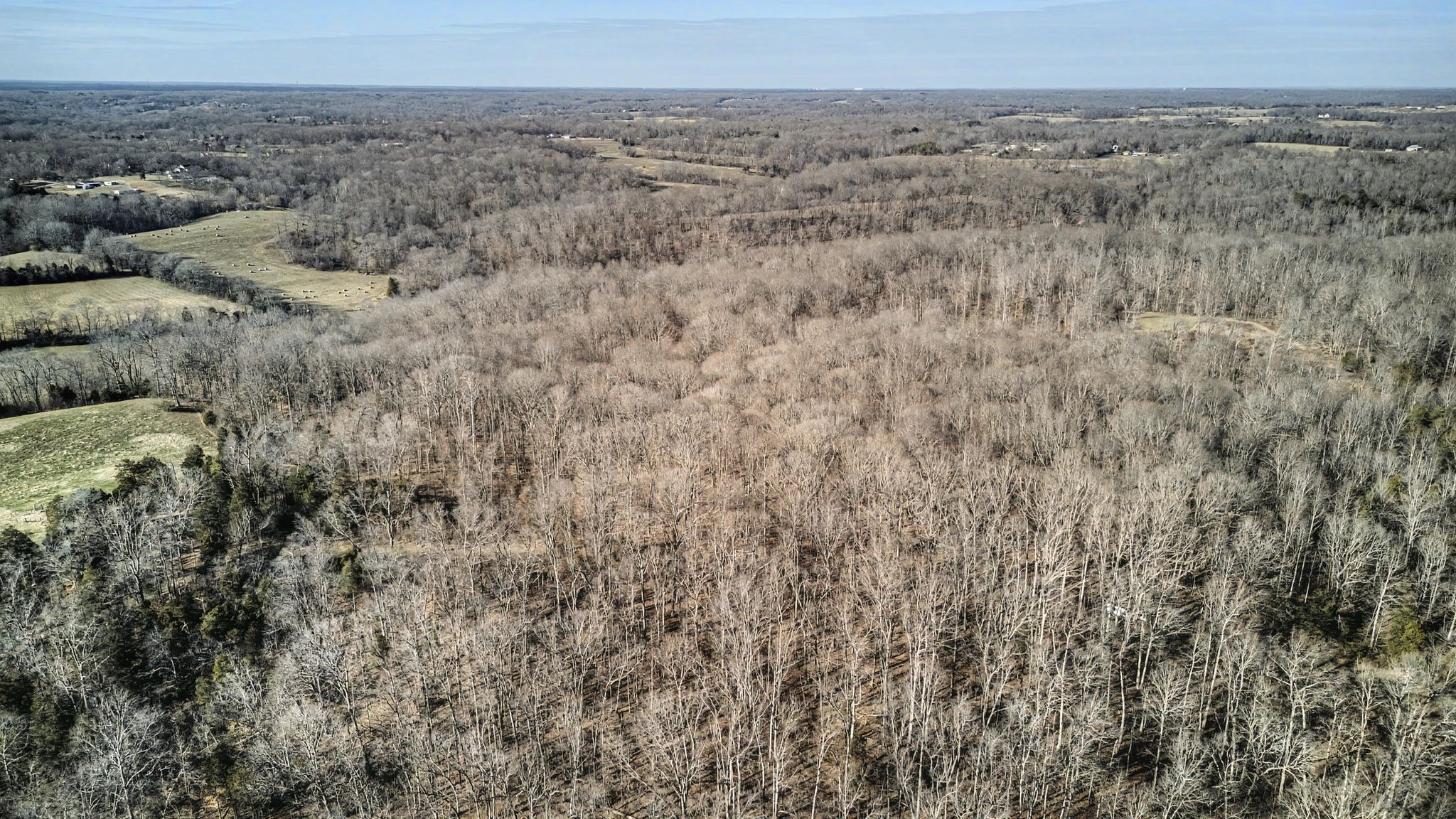 0 Poole Road Chapmansboro, TN 37035 - Photo 17 of 20 a view of a dry field