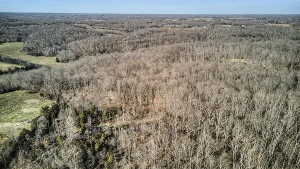 a view of a dry yard