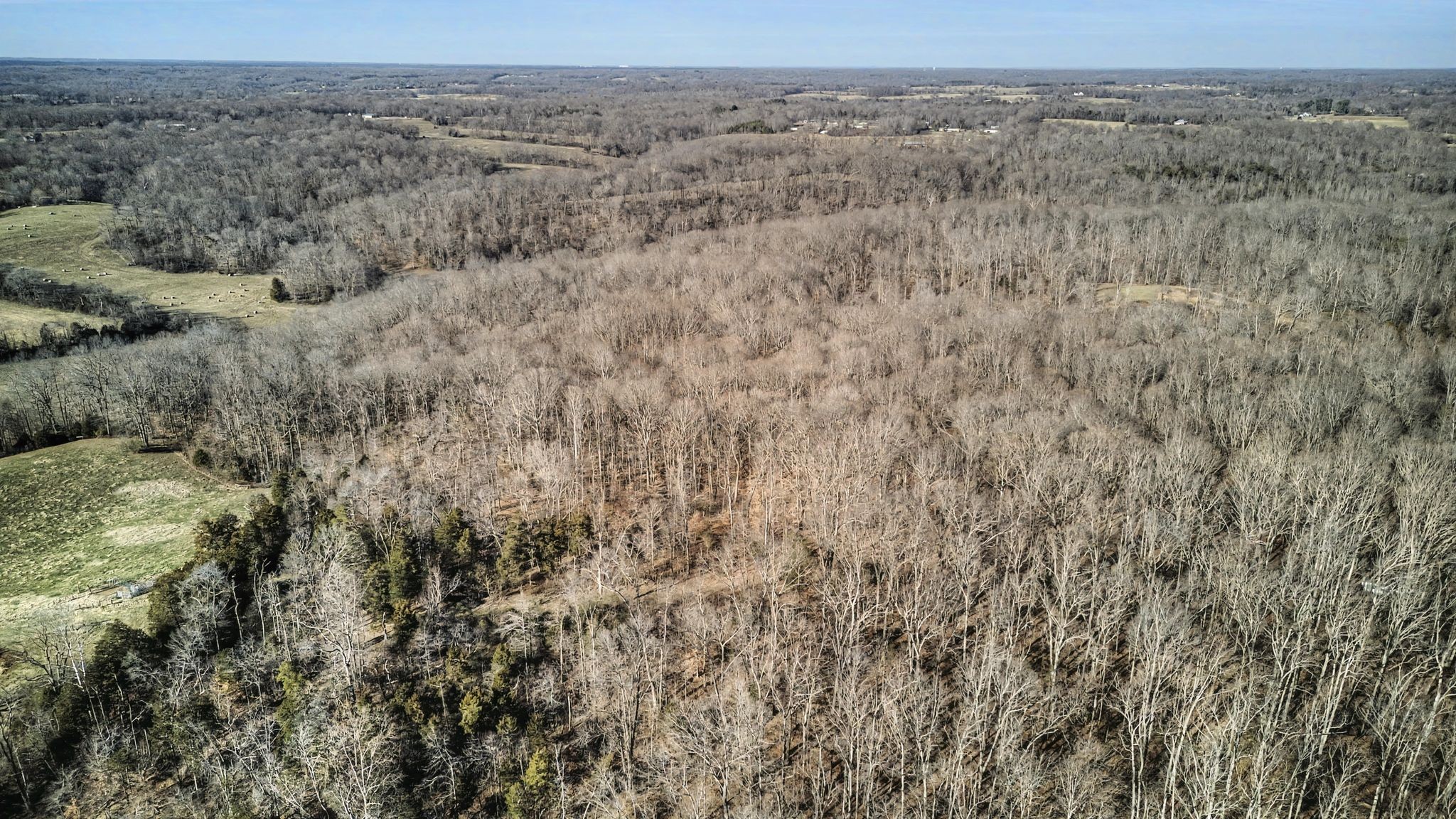 0 Poole Road Chapmansboro, TN 37035 - Photo 18 of 20 a view of a dry field