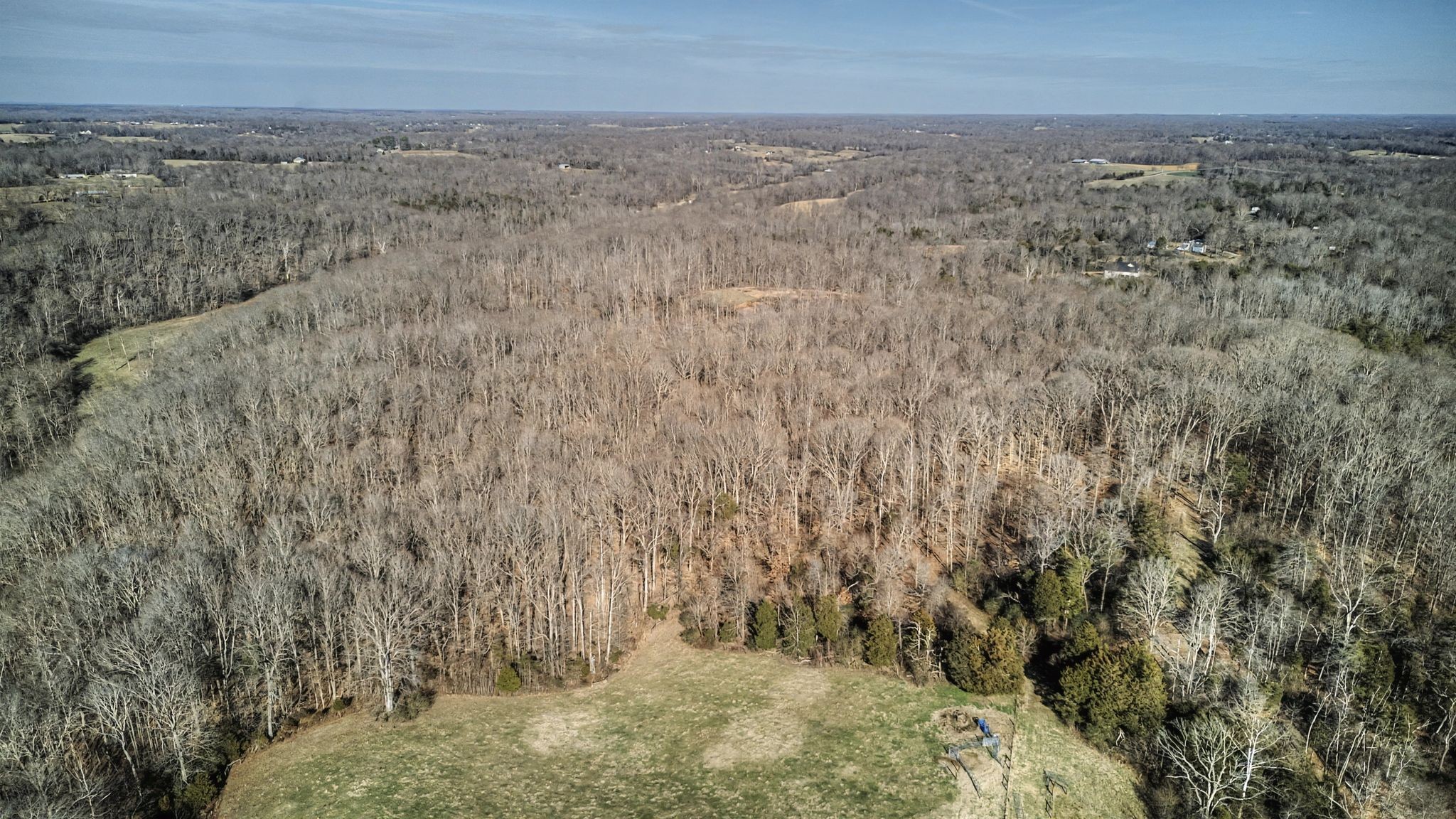 0 Poole Road Chapmansboro, TN 37035 - Photo 2 of 20 a view of wooden floor