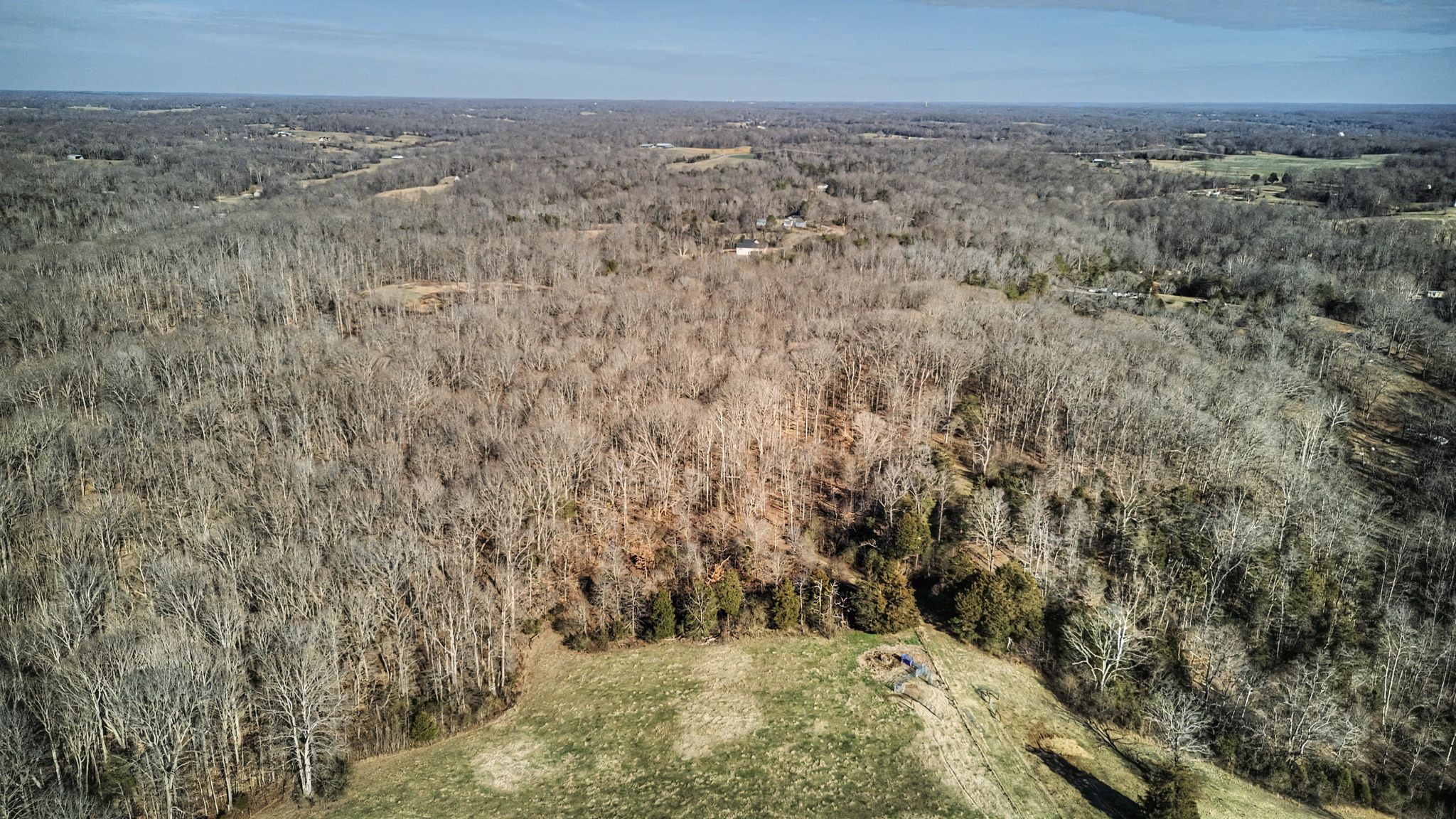 0 Poole Road Chapmansboro, TN 37035 - Photo 3 of 20