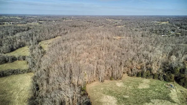 a view of a dry yard with trees