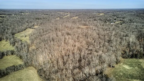 a view of a dry yard with trees