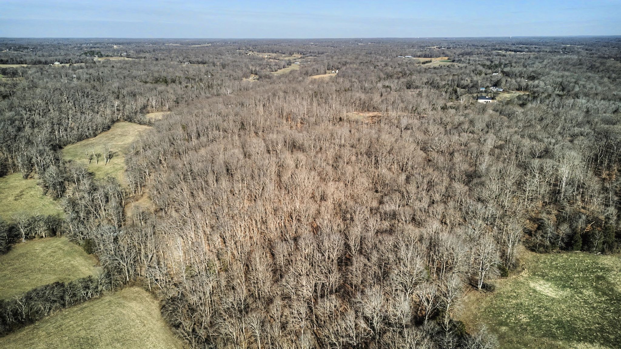 0 Poole Road Chapmansboro, TN 37035 - Photo 5 of 20 a view of a dry yard with trees