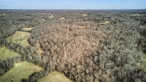 a view of a dry yard