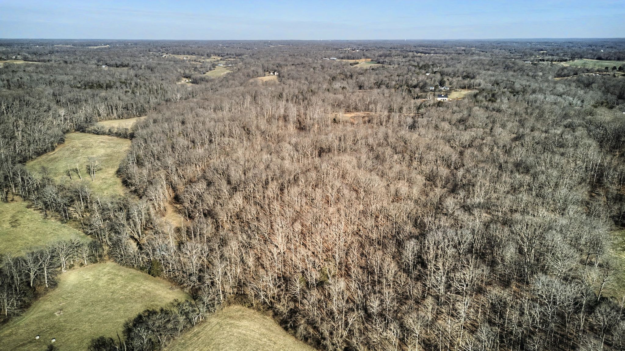 0 Poole Road Chapmansboro, TN 37035 - Photo 6 of 20 a view of a dry yard with trees