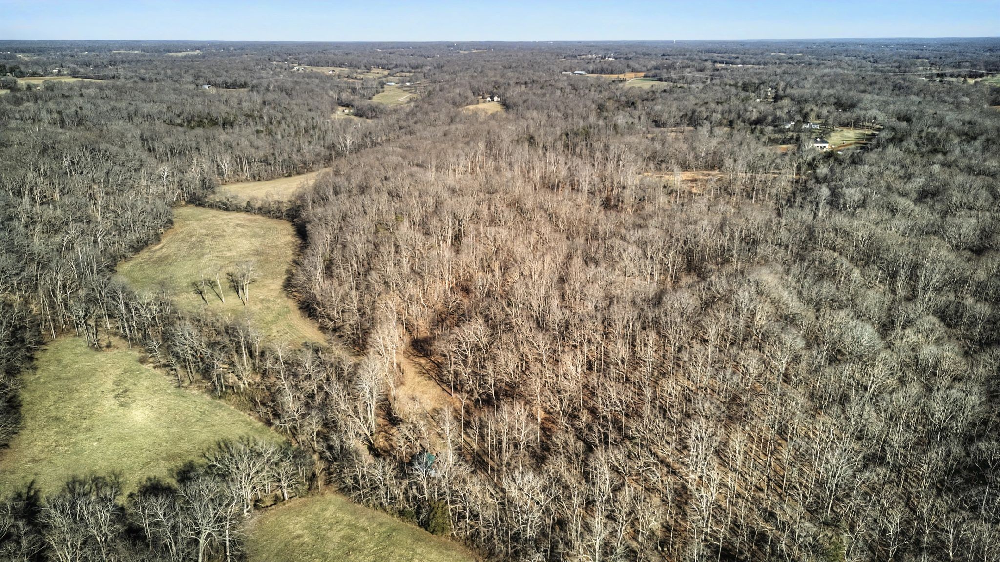0 Poole Road Chapmansboro, TN 37035 - Photo 7 of 20 a view of a dry yard