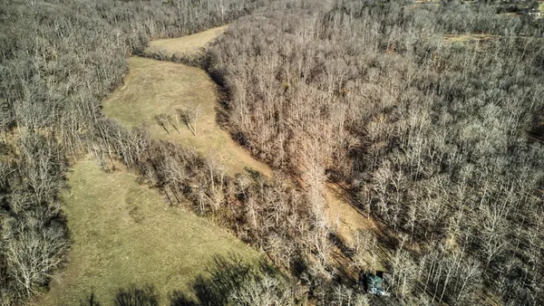 a view of a dry yard with trees