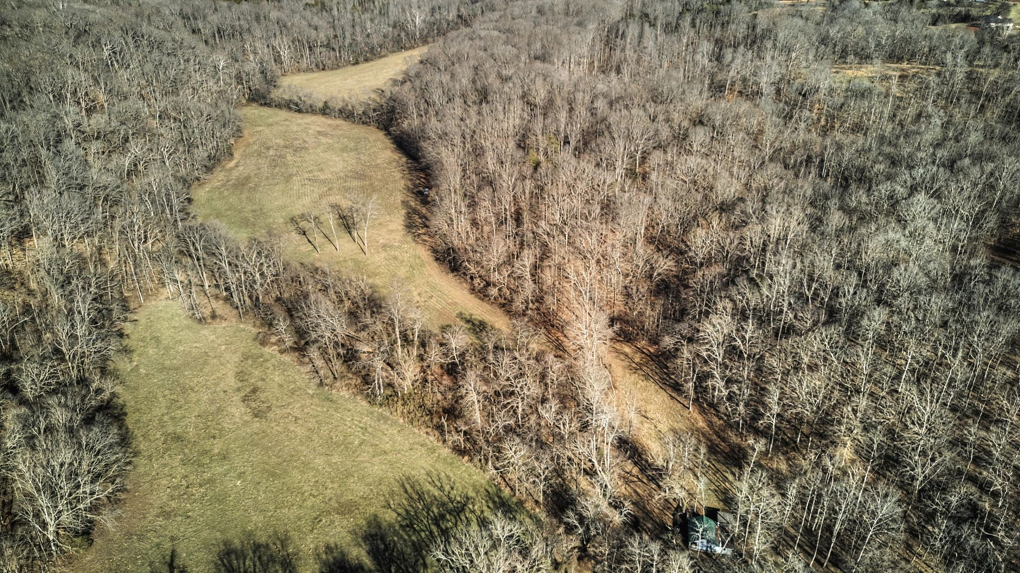 0 Poole Road Chapmansboro, TN 37035 - Photo 8 of 20 a view of a yard