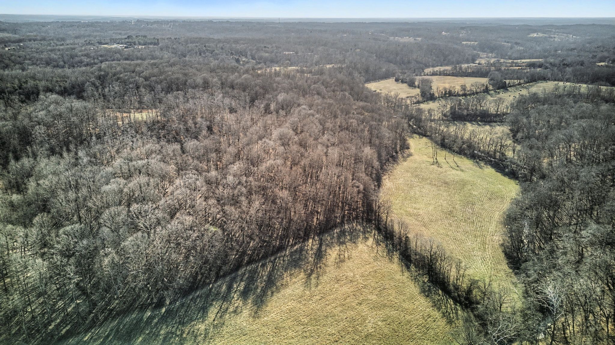 0 Poole Road Chapmansboro, TN 37035 - Photo 10 of 20 a view of a dry yard