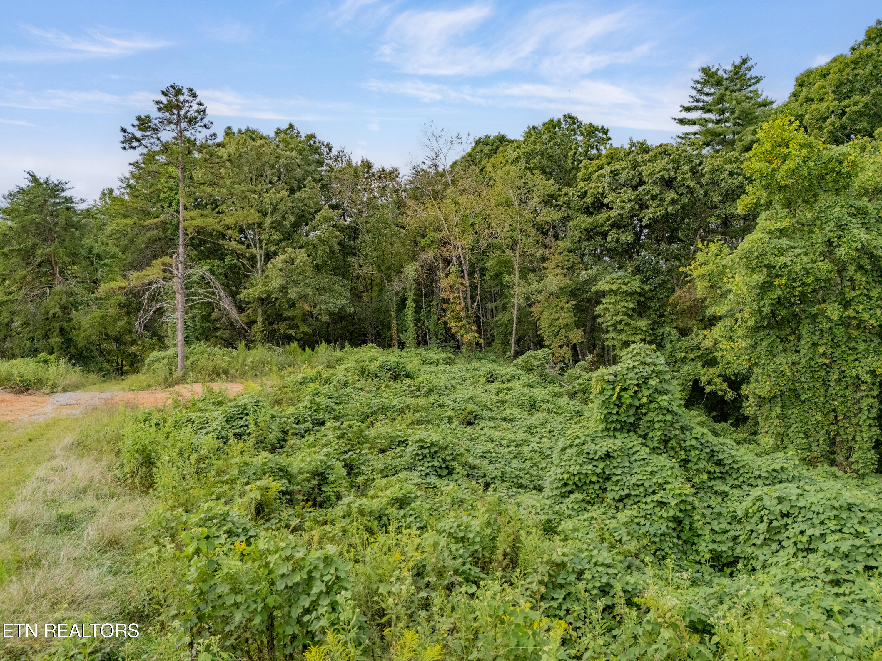Lot 6 Black Oak Road Harriman, TN 37748 - Photo 11 of 13 IMG_5420