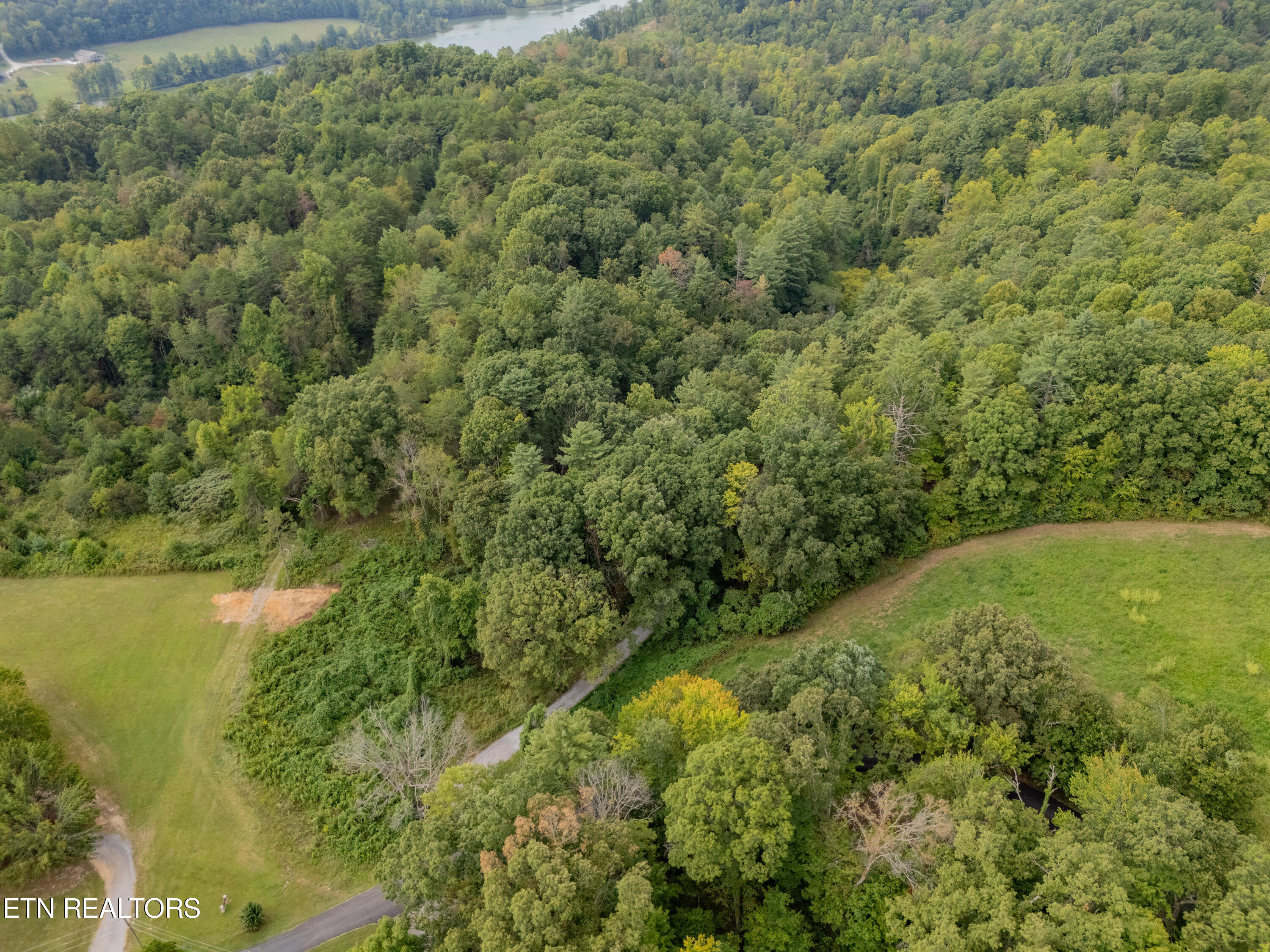 Lot 6 Black Oak Road Harriman, TN 37748 - Photo 12 of 13 IMG_5412