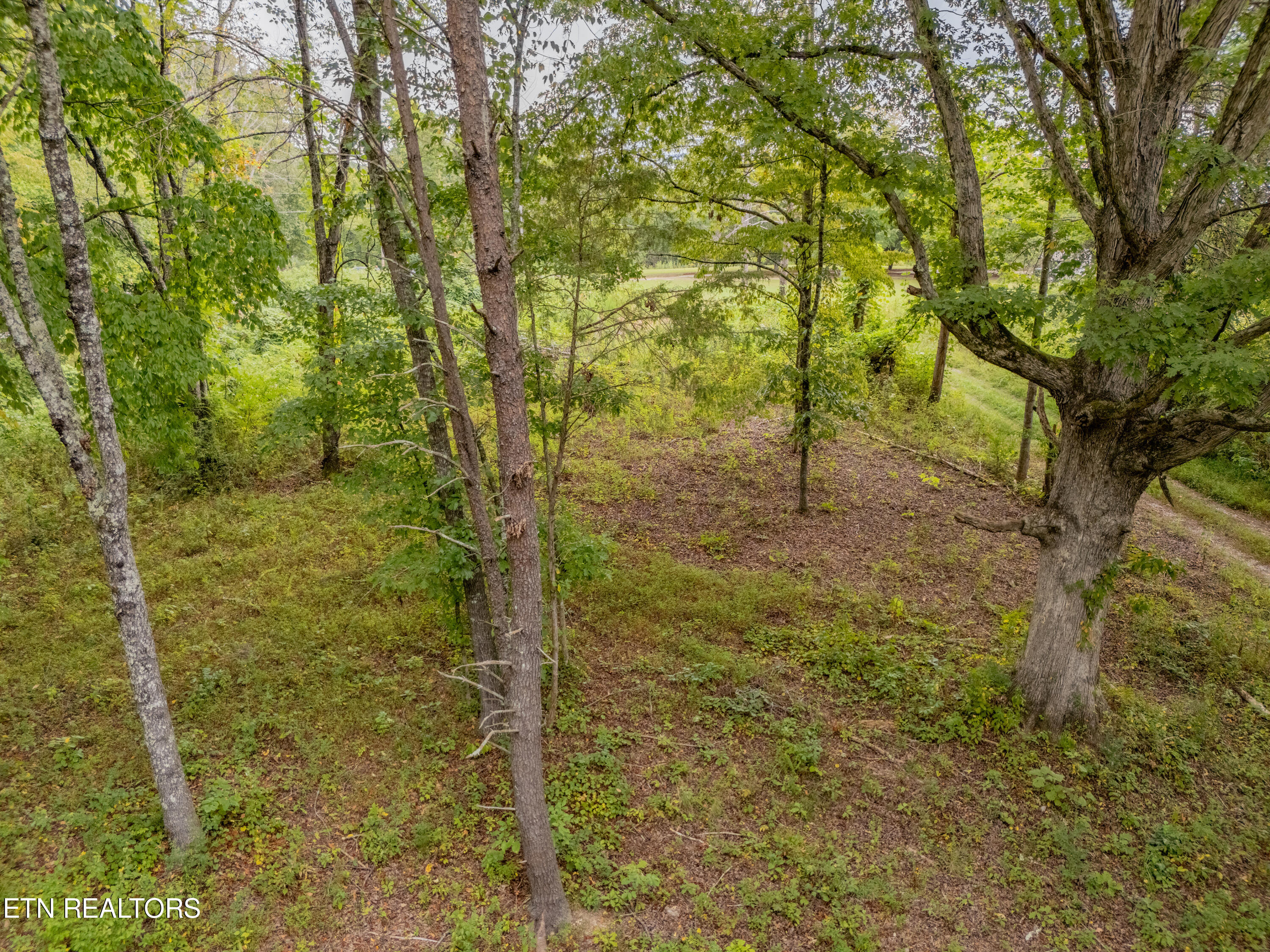 Lot 6 Black Oak Road Harriman, TN 37748 - Photo 6 of 13 IMG_5425