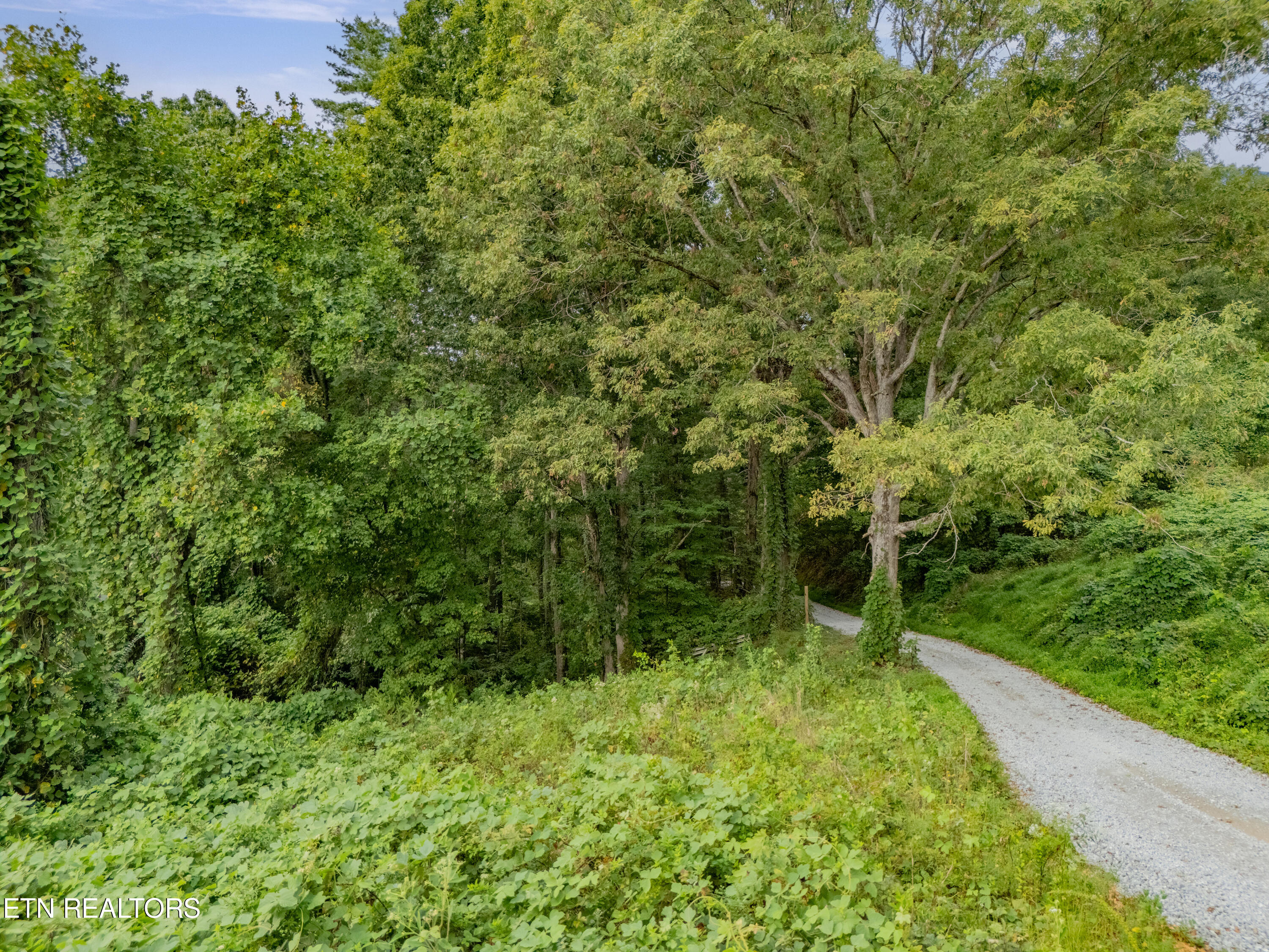 Lot 6 Black Oak Road Harriman, TN 37748 - Photo 8 of 13 IMG_5424