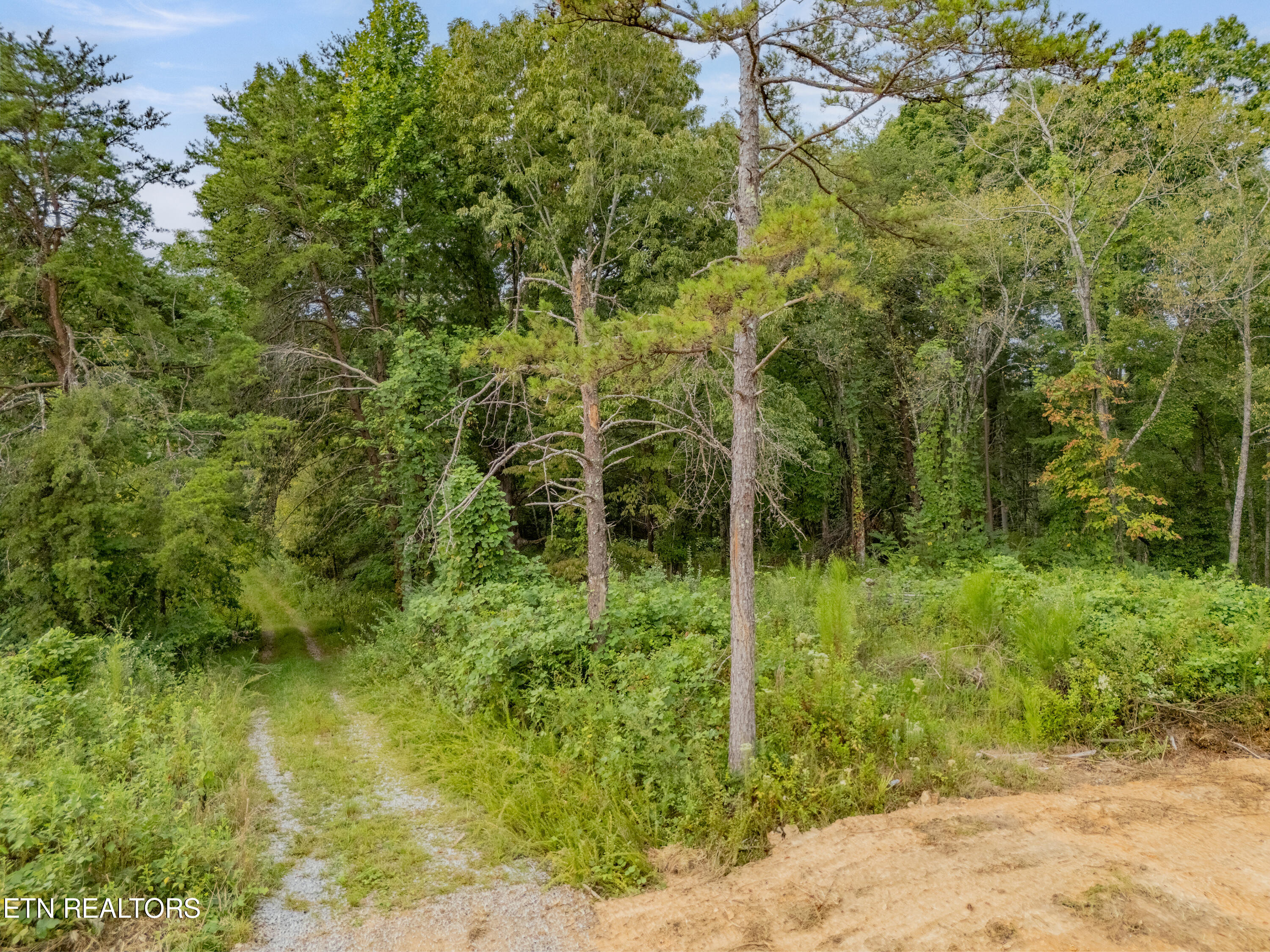 Lot 6 Black Oak Road Harriman, TN 37748 - Photo 9 of 13 IMG_5423