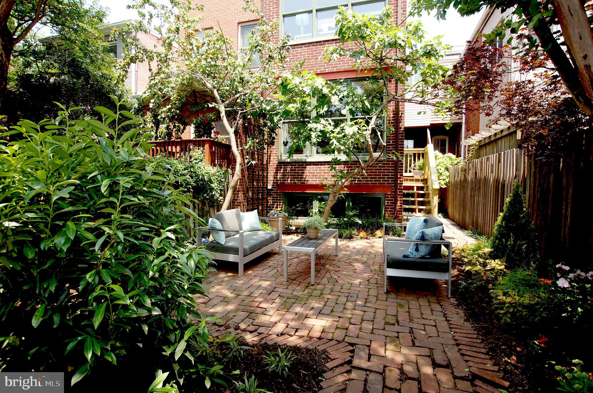 633 A Street Northeast Washington, DC 20002 - Photo 46 of 56 A true oasis with apricots and figs for the plucki