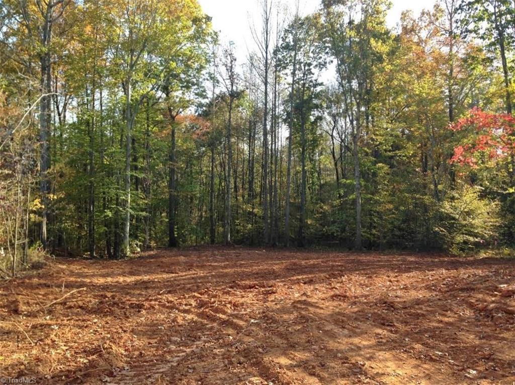 8439 Alice Player Drive Oak Ridge, NC 27310 - Photo 4 of 5