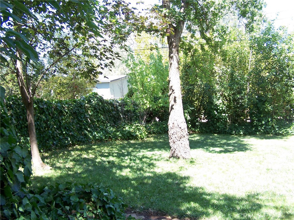 7136 Upper Palermo Road Palermo, CA 95968 - Photo 17 of 26 a view of a tree with a yard