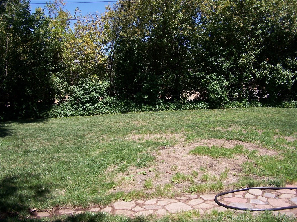 7136 Upper Palermo Road Palermo, CA 95968 - Photo 18 of 26 a view of a garden