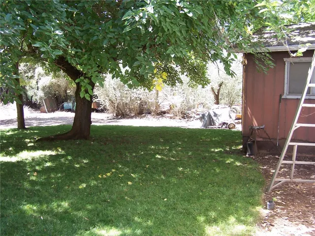 a view of a yard with large trees
