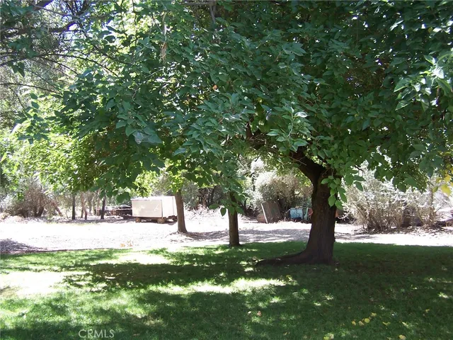a view of a backyard with large trees