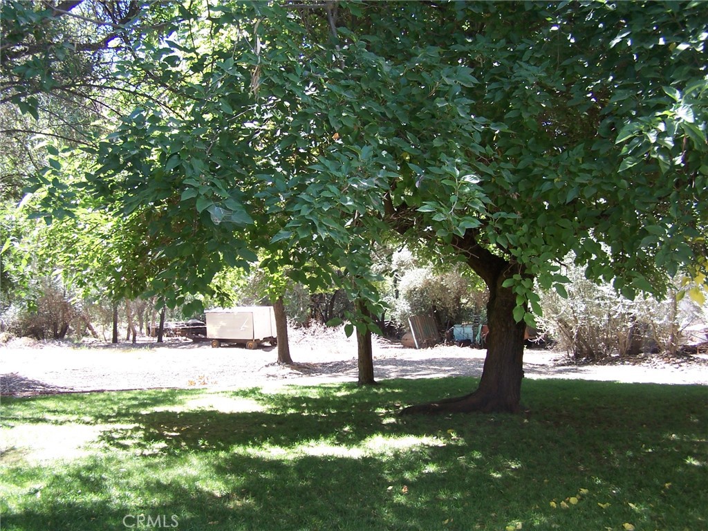 7136 Upper Palermo Road Palermo, CA 95968 - Photo 20 of 26 a view of park with trees
